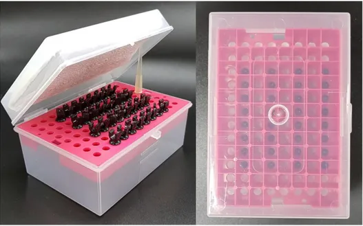 Figure 2. Plugs aligned on a micropipette tip box. Boxes were stored at incubator 