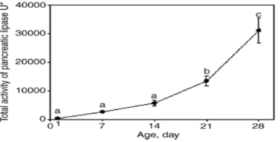 Figure  4.  Development  of  pancreatic  lipase  activity  in  nursing  piglets.  Means  without  common  letters(a-c)  differ  significantly(p<0.05)  (Liu  et  al.,  2001)