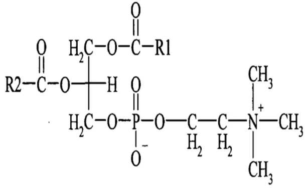 Figure  6.  Chemical  structure  of  lecithin  (google,  2018)