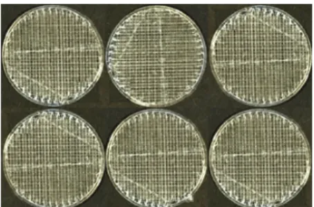 Fig. 9. Photographed scaffold using USB camera. 