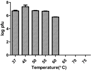 Figure  4. Thermal  stability  of  CSP1  from  37℃ to  75℃.  CSP1  completely lost its infectivity more than 65℃