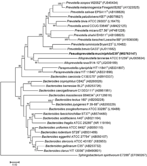 Figure  4.  Neighbor-joining tree  showing the phylogenetic relationship 