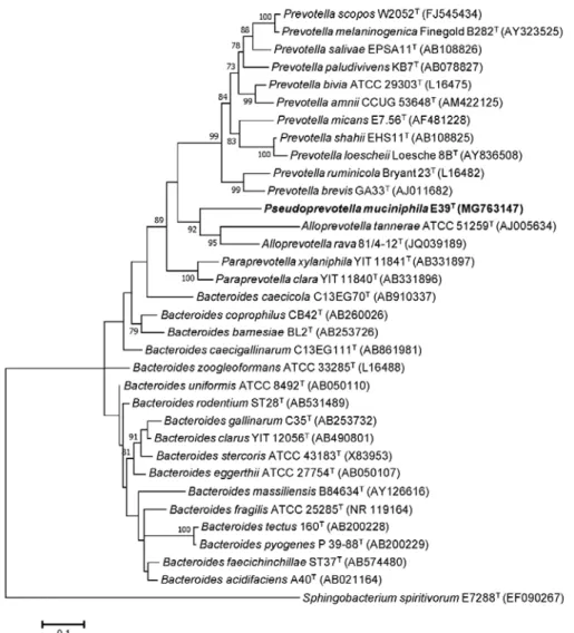 Figure 5. Maximum-likelihood tree showing the phylogenetic relationship 
