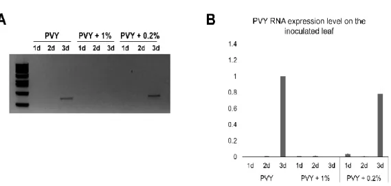 Fig. 5. Replication of PVY viral RNA. Total RNAs were extrated from water (control), 1%  (v/v), and 02%(v/v) of the compoundt treated PVY inoculated local leaves at 1, 2, and 3  dpi and subjected to RT-PCR (A) and qRT-PCR (B)