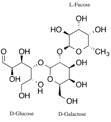 Figure 2. Structure of 2’-fucosyllactose (2’-FL) 