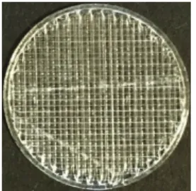 Fig. 5는  확보되지  않은  출력  조건을  이용하여  해당  조 건으로   인공지지체를  실제로  출력한  모습을  도시하였다. 