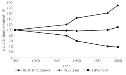 Figure  1.  Schematic  description  of  one  century  of  genetic  progress  in  pigs  (Merks,  2000)
