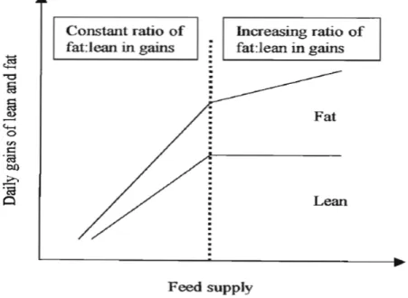 Figure  7.  The  ratio  of  lean  to  fat  in  gain  will  tend  to  be  constant  until  maximum  potential  lean  growth  rate  is  achieved  (Whittemore,  1993).