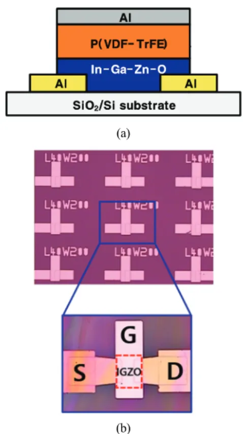 Fig. 2. (a) Shematic cross-sectional diagram and (b) photo- photo-graphs of fabricated TFTs on SiO 2 /Si substrate