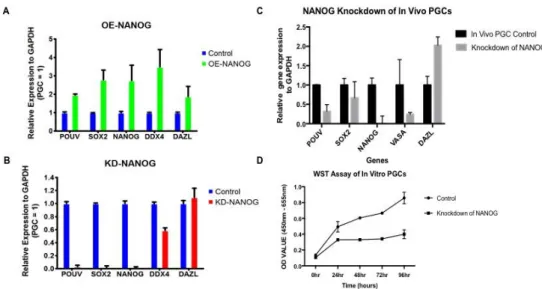 Figure 1. Relative gene expression analysis after overexpression and  knockdown of predicted transcription factors in vivo and in vitro cultured  PGCs