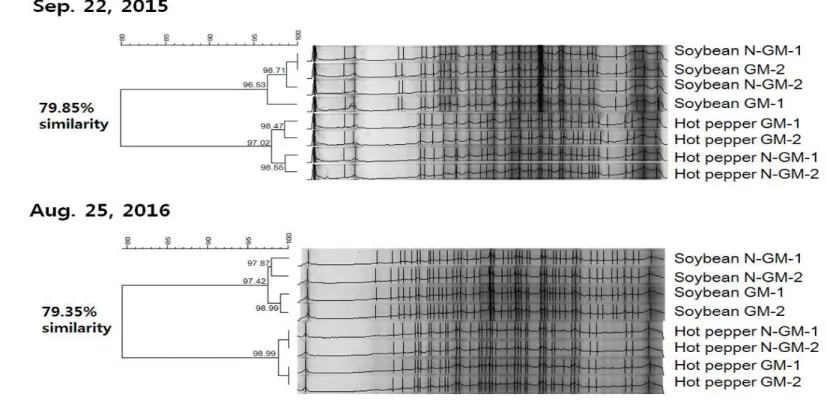 Figure 9. The dendrogram represensted the similarities between the 16S rDNA-DGGE band patterns according to cluster analysis 