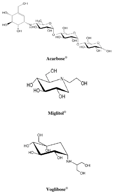 Figure 2. Chemical structure of α-glucosidase inhibitors . 