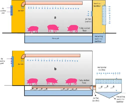 Figure  3.1.  The  experimental  pig  house  (a)  The  W-VBF  (wall  ventilation- ventilation-vertical biofilter); (b) P-HBF (pit ventilation-horizontal biofilter) 