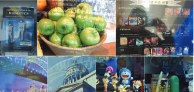 Fig. 1. Examples of Single Reflected Image. 