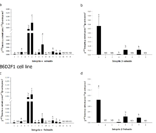 Figure  2.  Transcriptional  expression  of  integrin  α  and  β  subunit  genes in undifferentiated ESCs derived from inbred R1 (129X1/SvJ  x  129S1/SvImJ)  and  hybrid  (C57BL6  ×  DBA2)  F1  mice