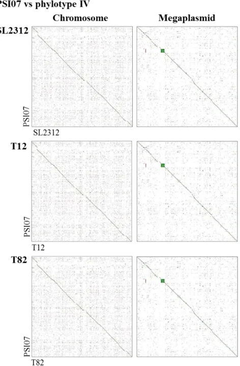 Figure 2. Pairwise genome alignments of Korean R. solanacearum strains  to  reference  strain  GMI1000  for  phylotype  I  or  PSI07  for  phylotype  IV