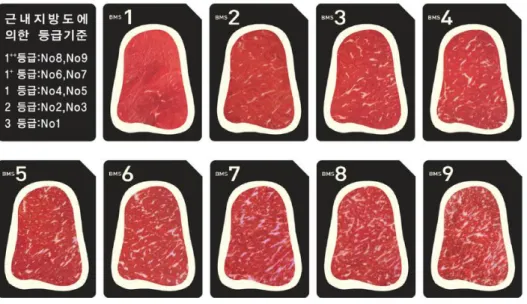 Figure  2. Beef  marbling  standard  (BMS)  used  for  estimating  quality  grade  in 