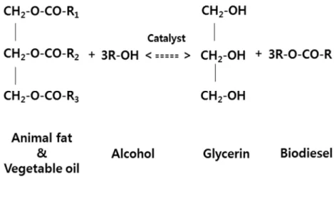 Figure 3. Glycerin and biodiesel production process.