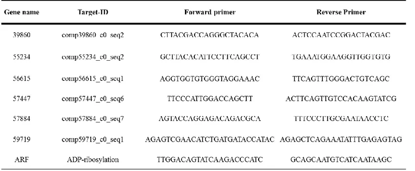 Table 1. Oligonucleotide sequences used for quantitative real-time PCR. 