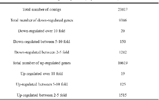 Table 3. Summary of differentially expressed contigs under buprofezin treatments. 