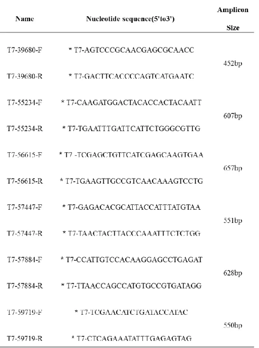 Table 5. Primer information for RT-PCR of candidate dsRNA 