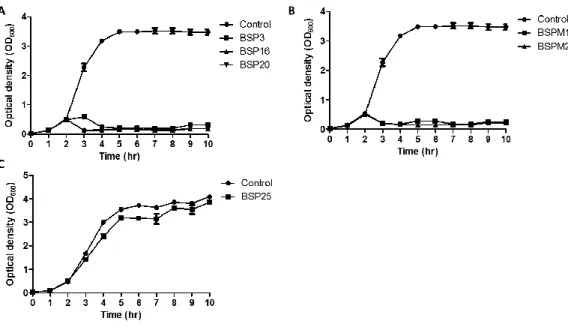 Fig. 2.3. Inhibition assays of LT2C rfbP mutant (rough type) with each phage. 