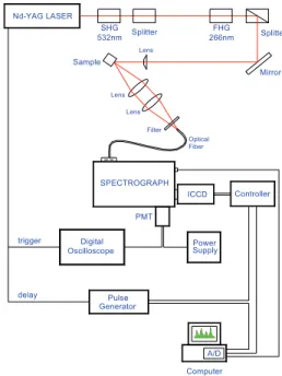 Fig. 1. The magnetoplumbite unit cell of SrAl 12 O 19 . 