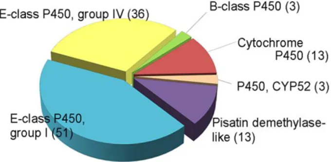 FIG 1. Classification of putative P450s in F. graminearum. The total P450s were categorized into six classes based on InterPro terms