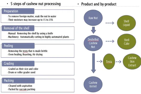 Figure 3.    Snapshot of cashew nut processing reporting: phases of the processing  flow  (left  column), processing  options  reported  in literature  (mid  column), and products and by-products resulting from  processing steps (right  column) (adapted fr