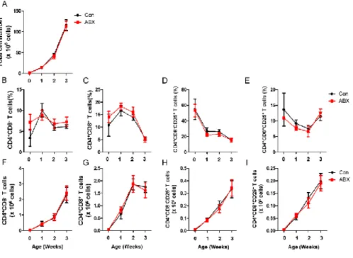 Figure 7. CD4 + CD8 – CD25 +  and CD4 + CD8 + CD25 +  T cells were not changed 