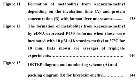 Figure 11.  Formation of metabolites from kresoxim-methyl  depending on the incubation time (A) and protein  concentration (B) with human liver microsome........