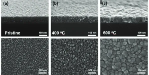 Fig. 5. X-ray diffraction (XRD) pattern of ZnO thin film  deposite on SiO 2  substrate
