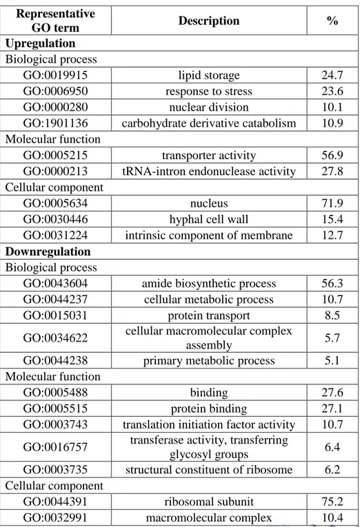 Table 3. Gene Ontology (GO) functional enrichment analysis of up-  and  downregulated  genes  during  heat  shock  stress  in  F