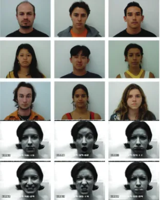 Fig. 6. Screenshot of the implemented system; Face  interpretation and classification
