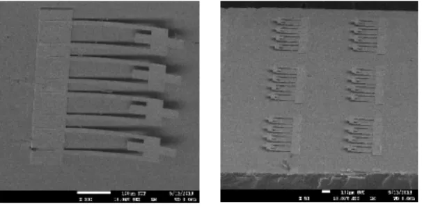 Fig. 4. MEMS wafer after etching, cleaning and drying  using supercritical CO 2  , acetone and methanol