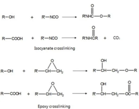 Fig. 3.  Reaction of functional groups in polymer  units and crosslinking agent.