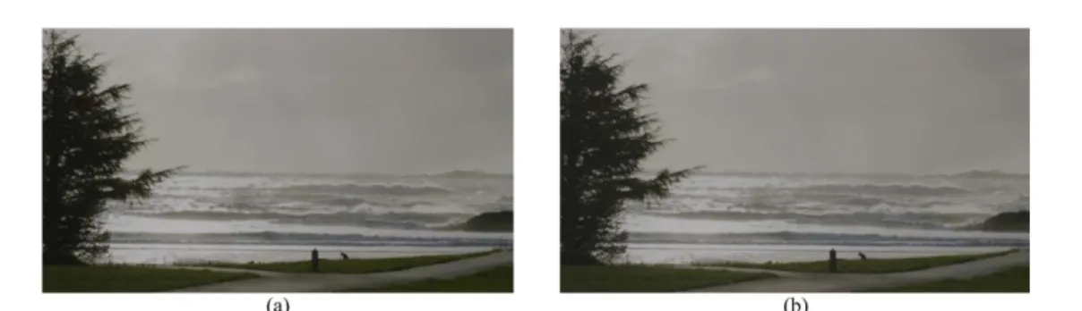 Fig. 3.  Example of results, Reinhard tone mapped Beach image in (a). Tone mapped Beach image using the proposed algorithm in (b).