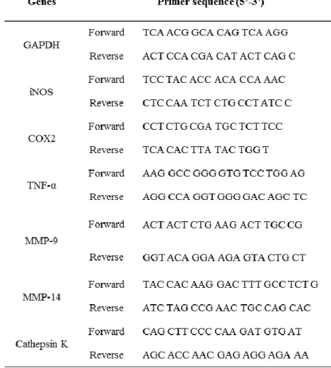 Table 3. Primer sequences of genes for RT–qPCR. 