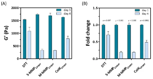 Figure  5.  Stiffness  changes  of  cell-laden  PEG  hydrogels  of  different  degradability  during  4-day  culture