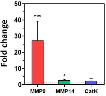 Figure  6.  Protease  gene  expression  levels  of  RAW264.7  cells  encapsulated in protease-insensitive PEG hydrogel (DTT) 4-day  post-encapsulation