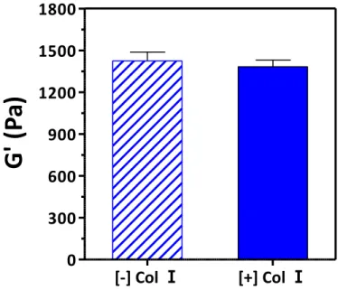 Figure 7. Shear elastic moduli of PEG4NB hydrogels formed without  or  with  collagen  Ⅰ  for  RAW264.7  cell  encapsulation
