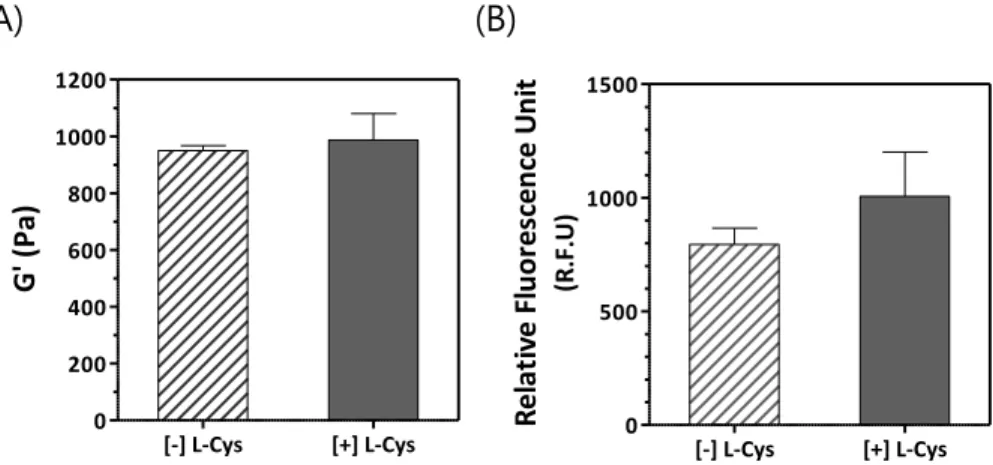 Figure 12.  Effect  of  presence  of  L-cysteine  on  shear  modulus  of  PEG hydrogel and initial metabolic activity of RAW264.7 cells after  encapsulation