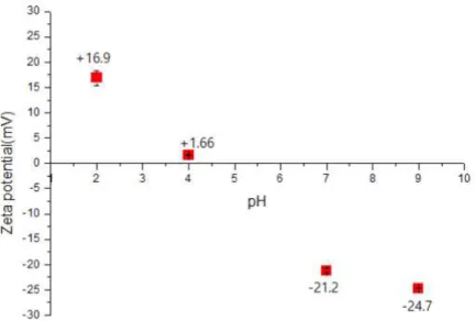 Figure 2. Zeta potential of silk sericin (SS) solution (1 mg/ml) at pH 2, 4, 7 and 9.
