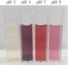 Figure 3. Optical images of gold colloids prepared at different pH. From left to right, the pH of medium was 2, 4, 7 and 9