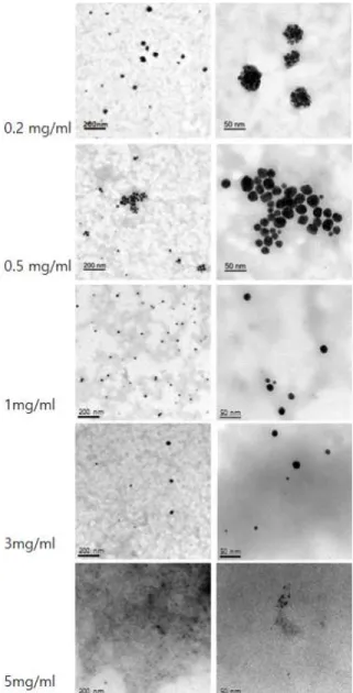 Figure 8. EF-TEM images of AuNPs in colloids prepared at different concentrations of SS