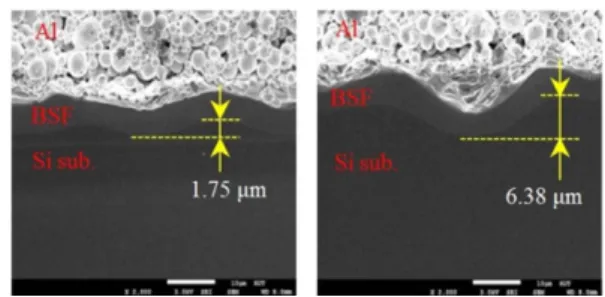 Fig. 7. The FE-SEM images of Front_F(left) and Rear_F (right) side BSF layer after firing process.