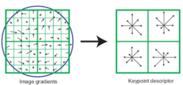 Fig. 1. SIFT (Scale Invariant Feature Transform)