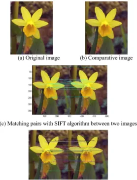 Fig. 7. Example case - Different viewpoint with same object in the same location.