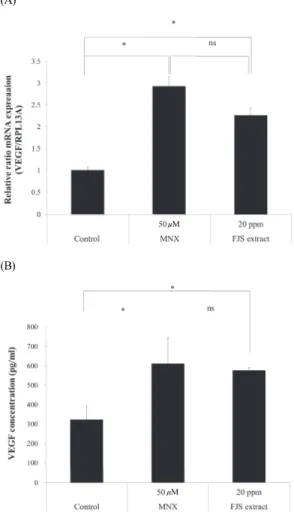 Figure  3.  Regulation  of  VEGF  expression  in  hDPCs.  mRNA  levels  (A)  and  secretion  (B)  of  VEGF  increased  after  treatment  with  FJS  extract