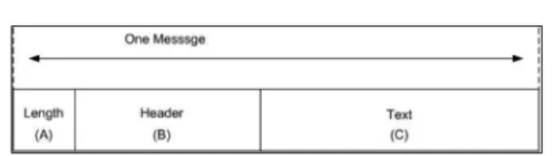 Fig. 7. HSMS structure.